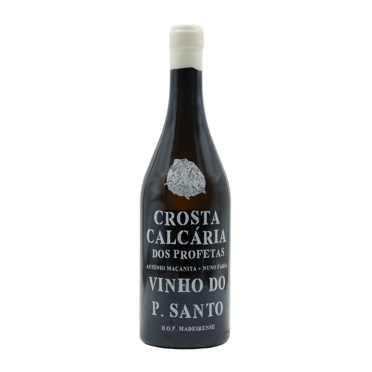Calcareous Crust of the Prophets White 2022