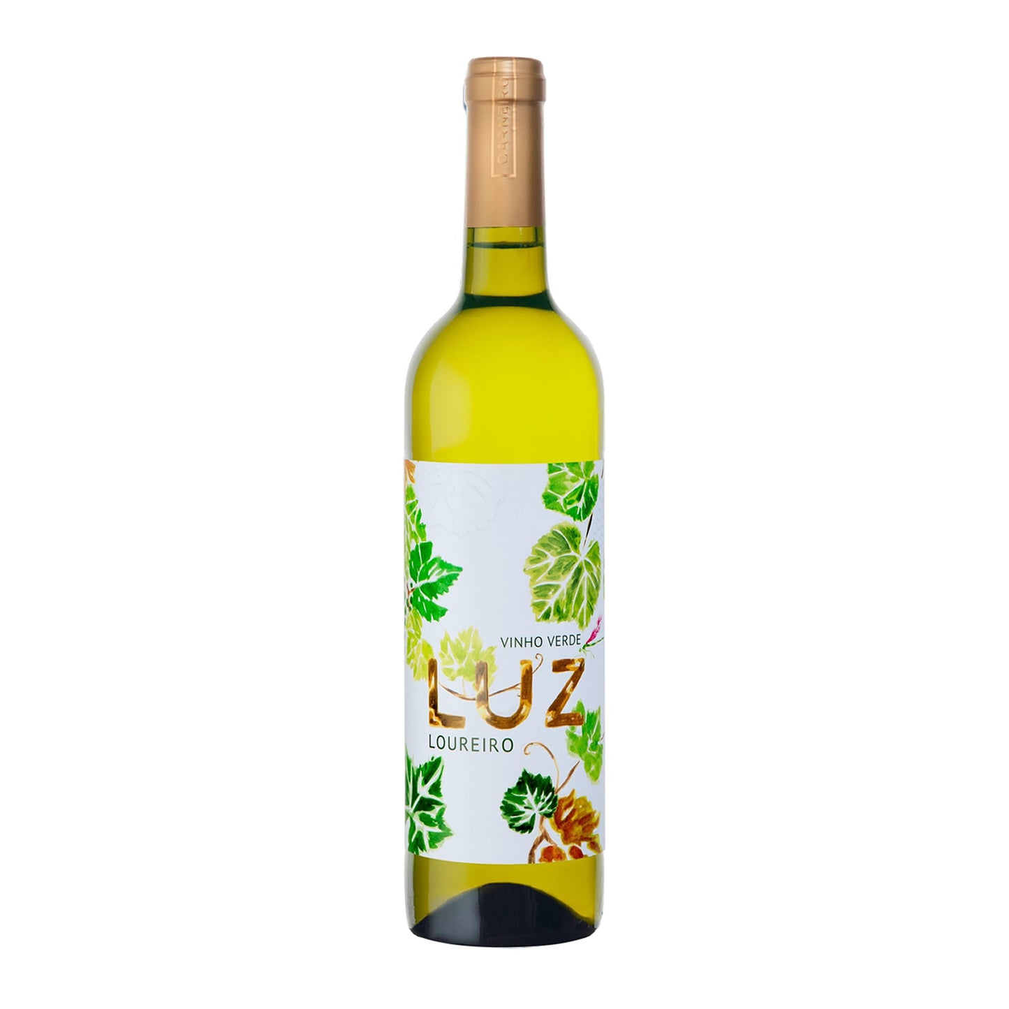 Luz Loureiro – Elegance Edition