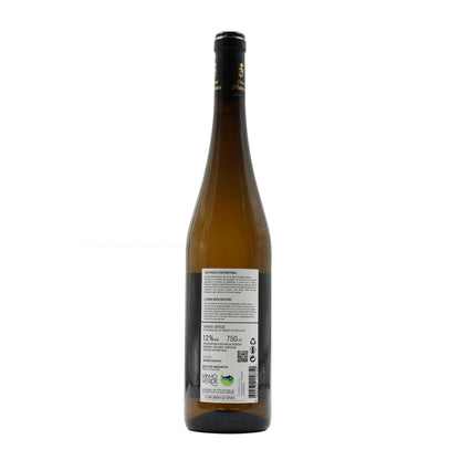 Dona Paterna White Loureiro 2022