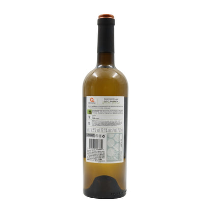 Encontro Blend Branco