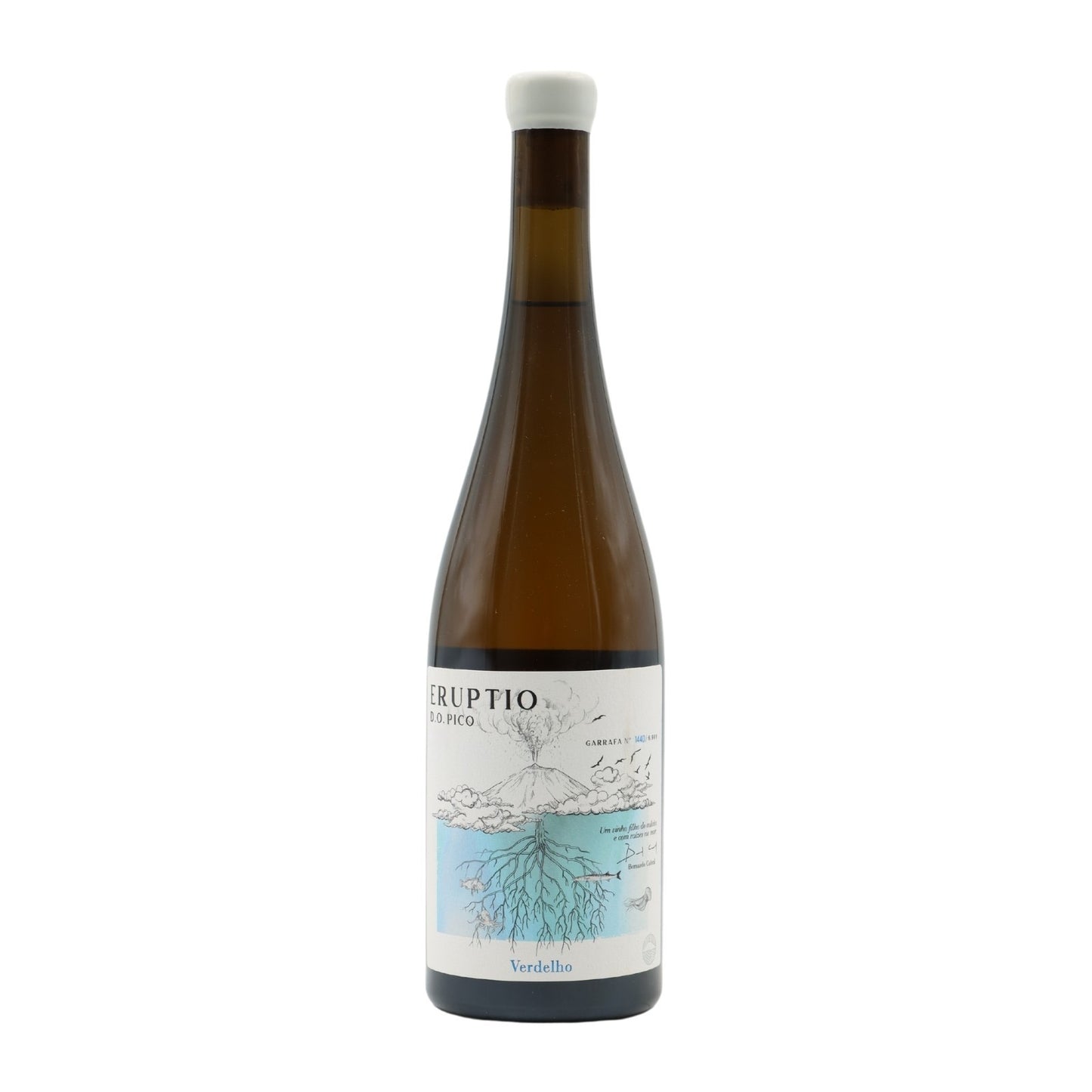 Eruptio Verdelho Branco