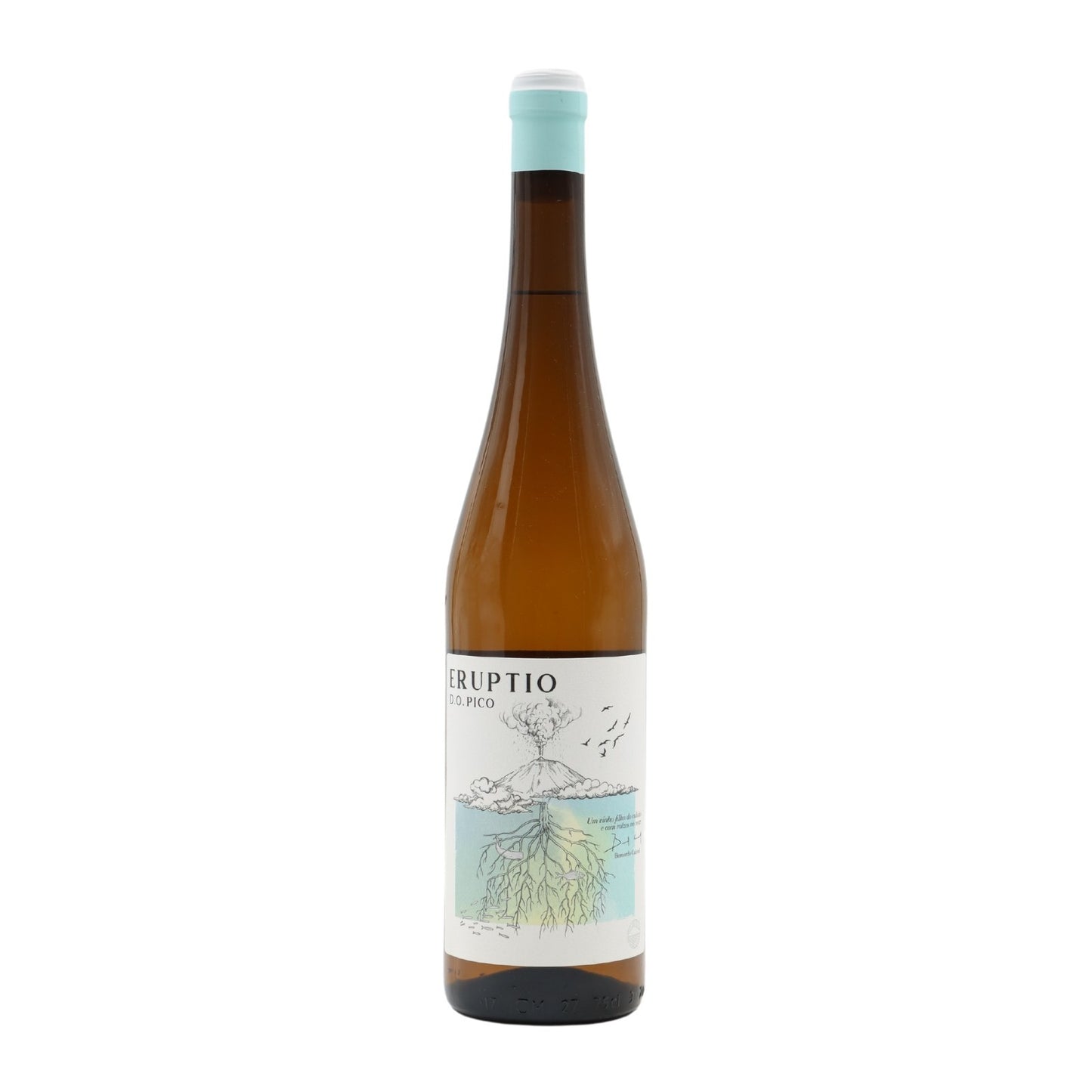 Eruptio White 2019