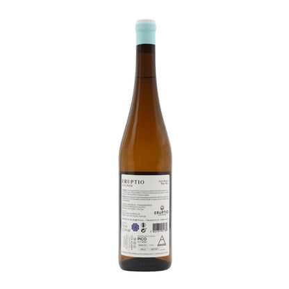Eruptio White 2019