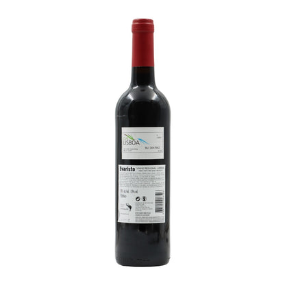 Evaristo Red 2019