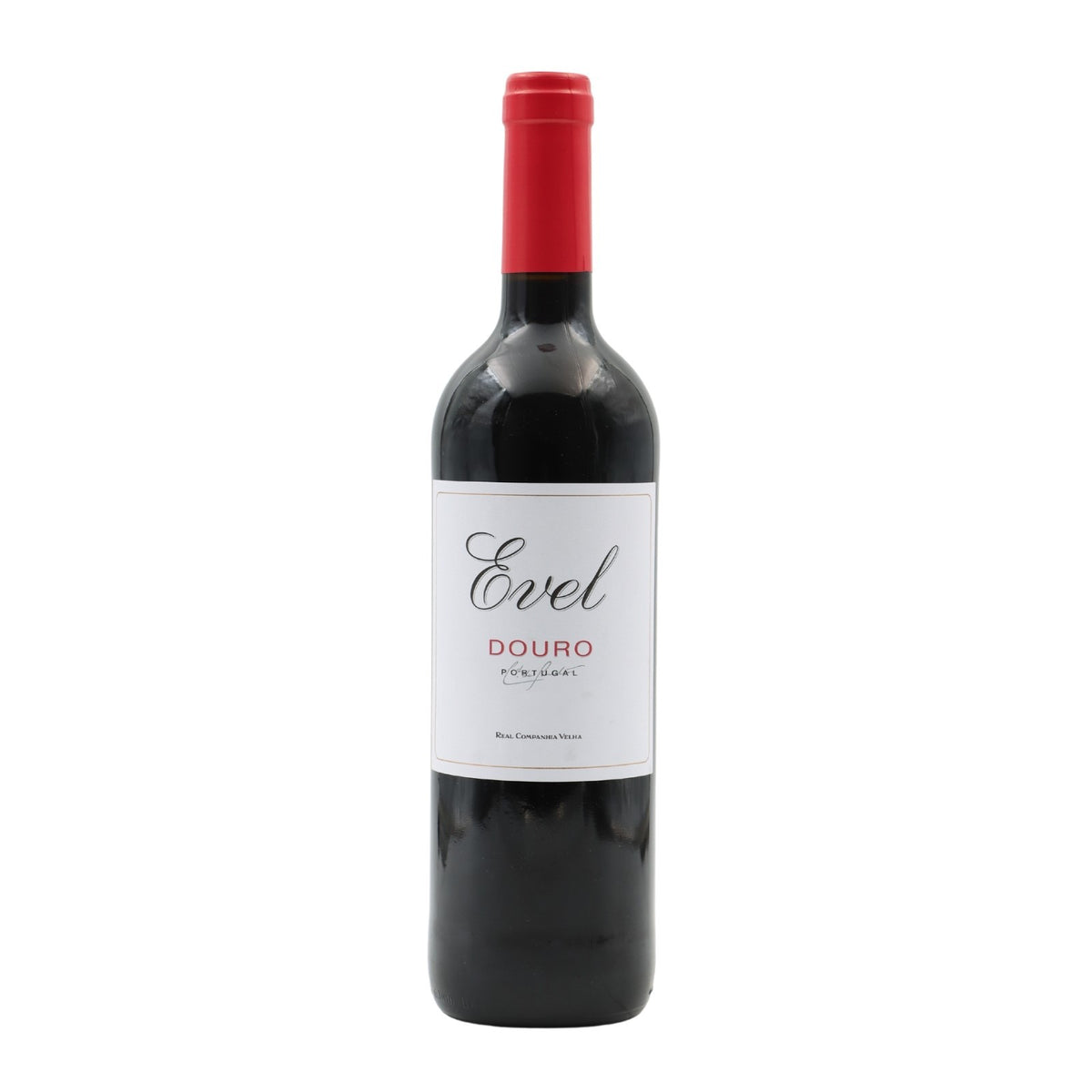 Evel Tinto