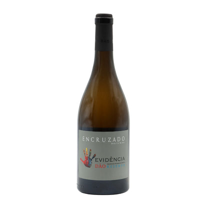 Evidência Encruzado Reserva Branco 2023