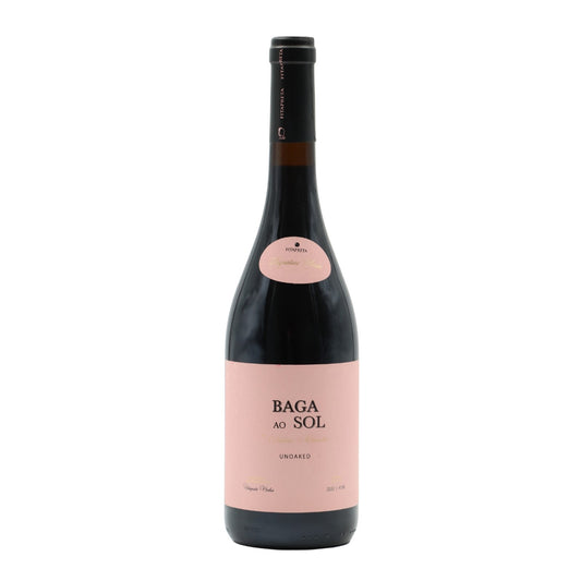 Fita Preta Baga ao Sol Tinto
