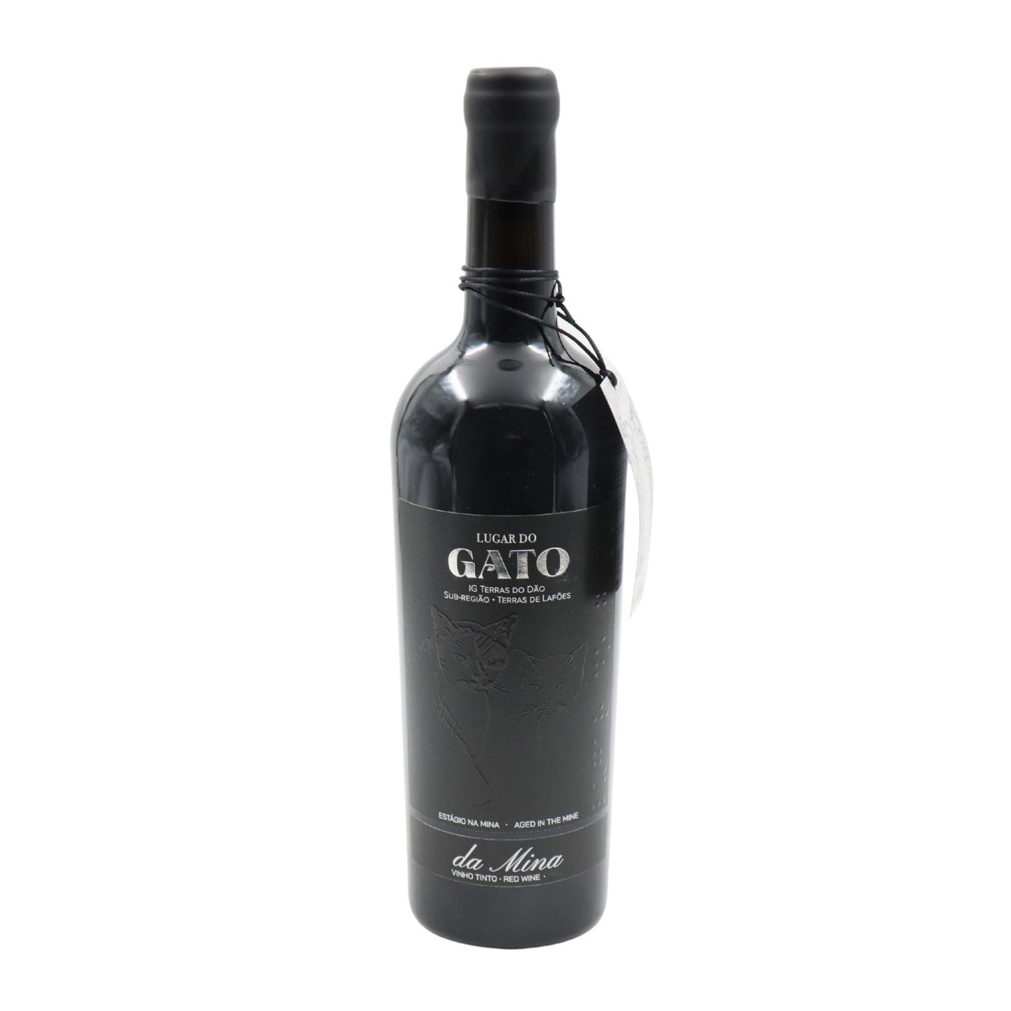 Gato da Mina Tinto