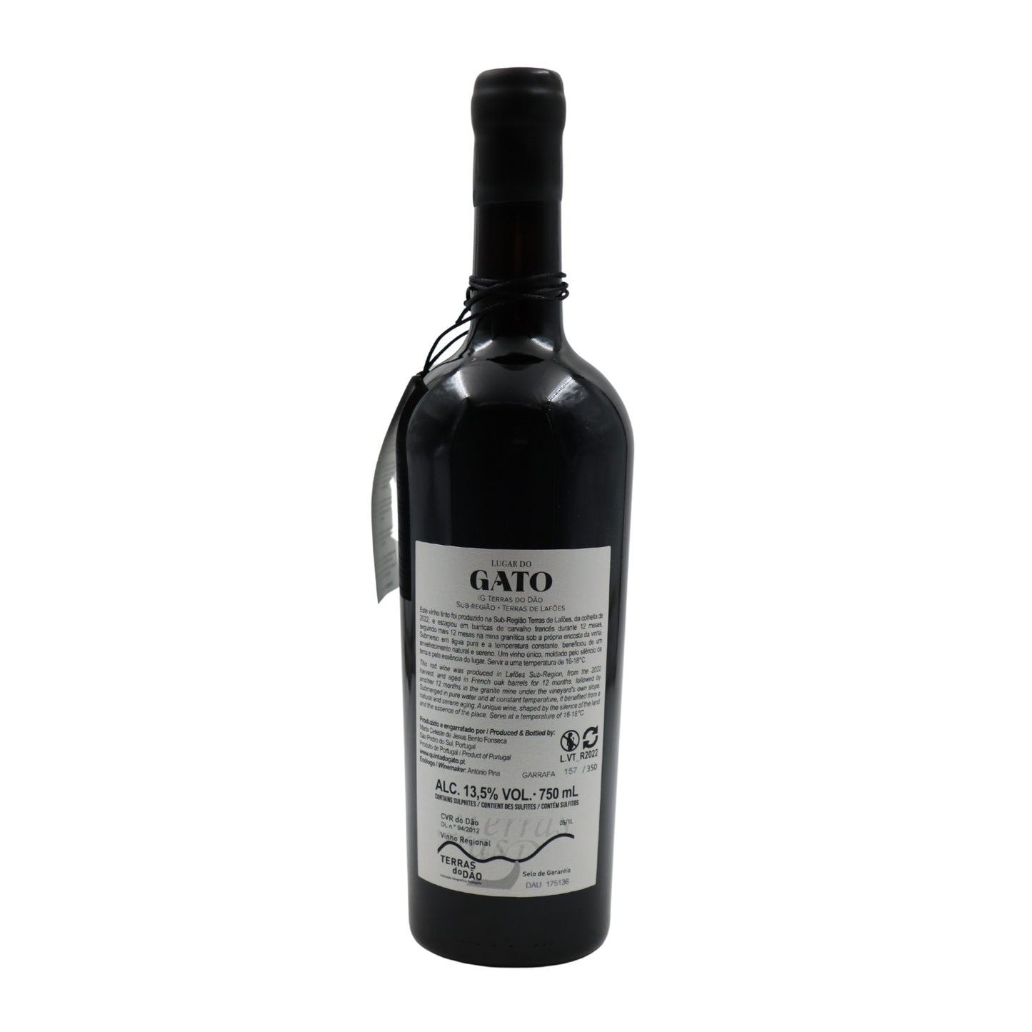 Gato da Mina Tinto