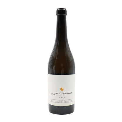 Grau Baume Estagio Longo Branco