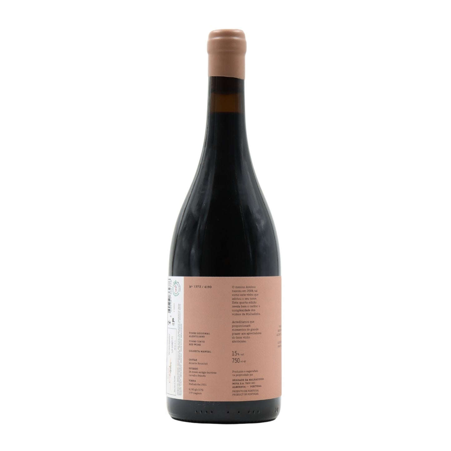 Malhadinha Menino António Tinto