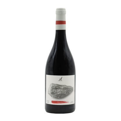 Herdade do Gamito Syrah Tinto
