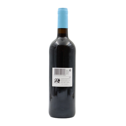 Autocarro 27 Tinto