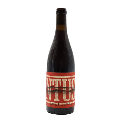 Intus Tinto