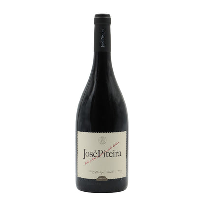 José Piteira Tinto
