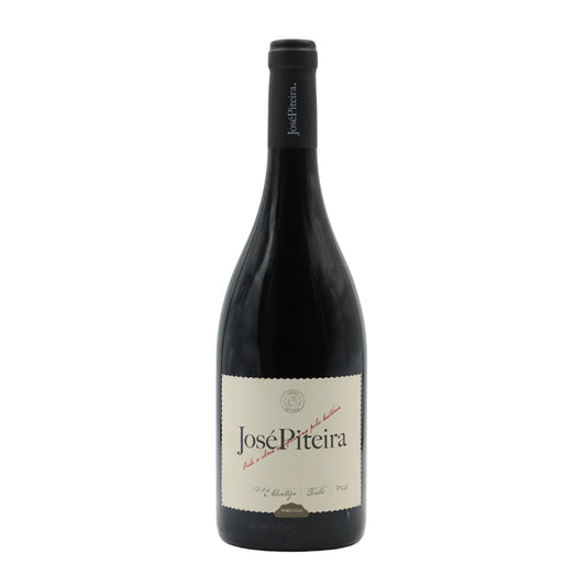 José Piteira Tinto