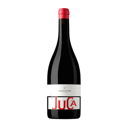 Juca Tinto 2023