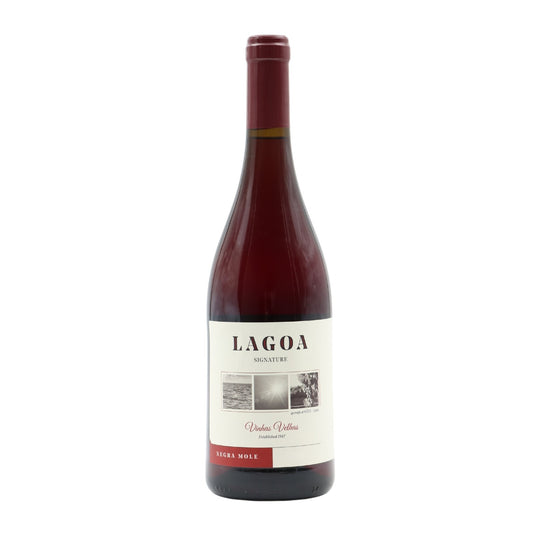 Lagoa Signature Red 2022