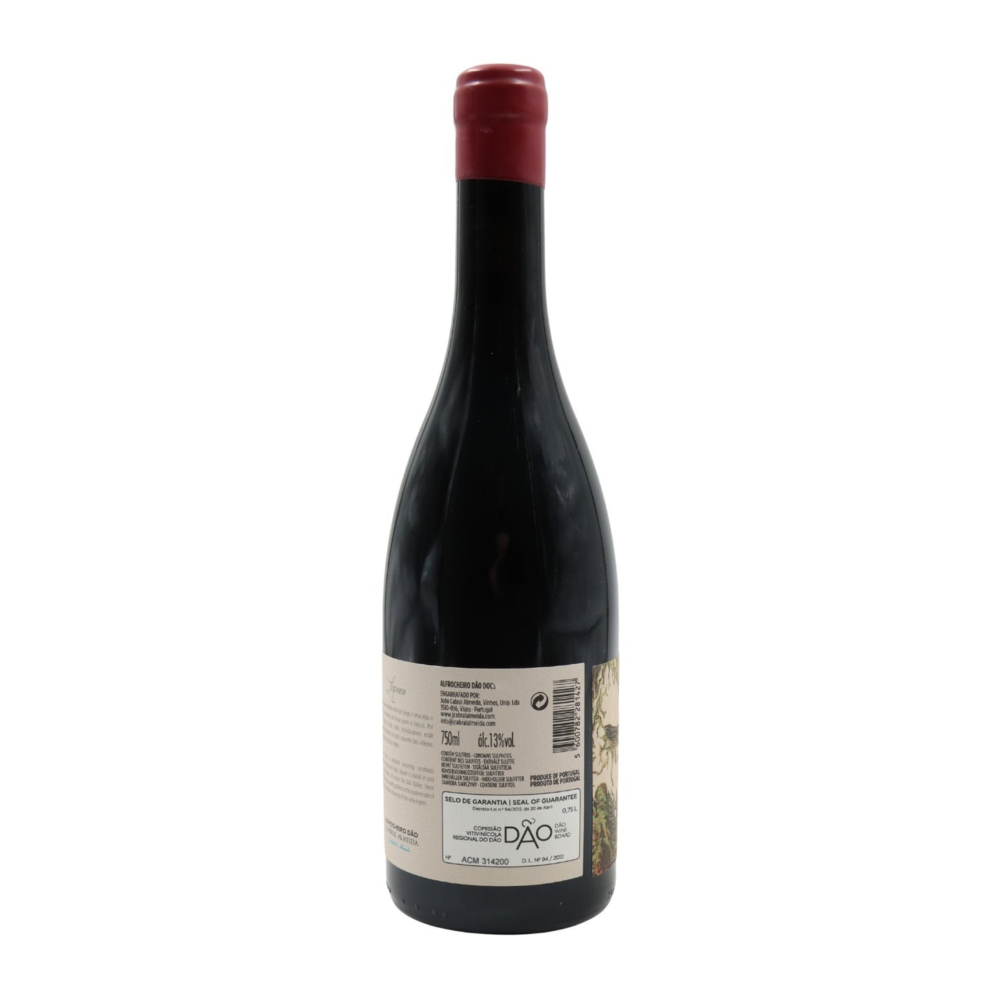 Líquen Alfrocheiro Tinto