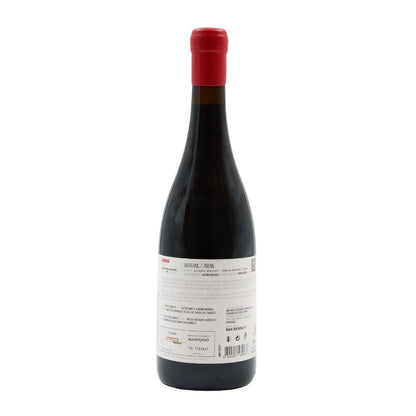 Mainova Tinto