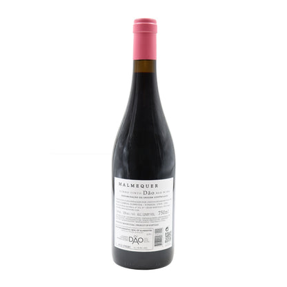 Malmequer Tinto