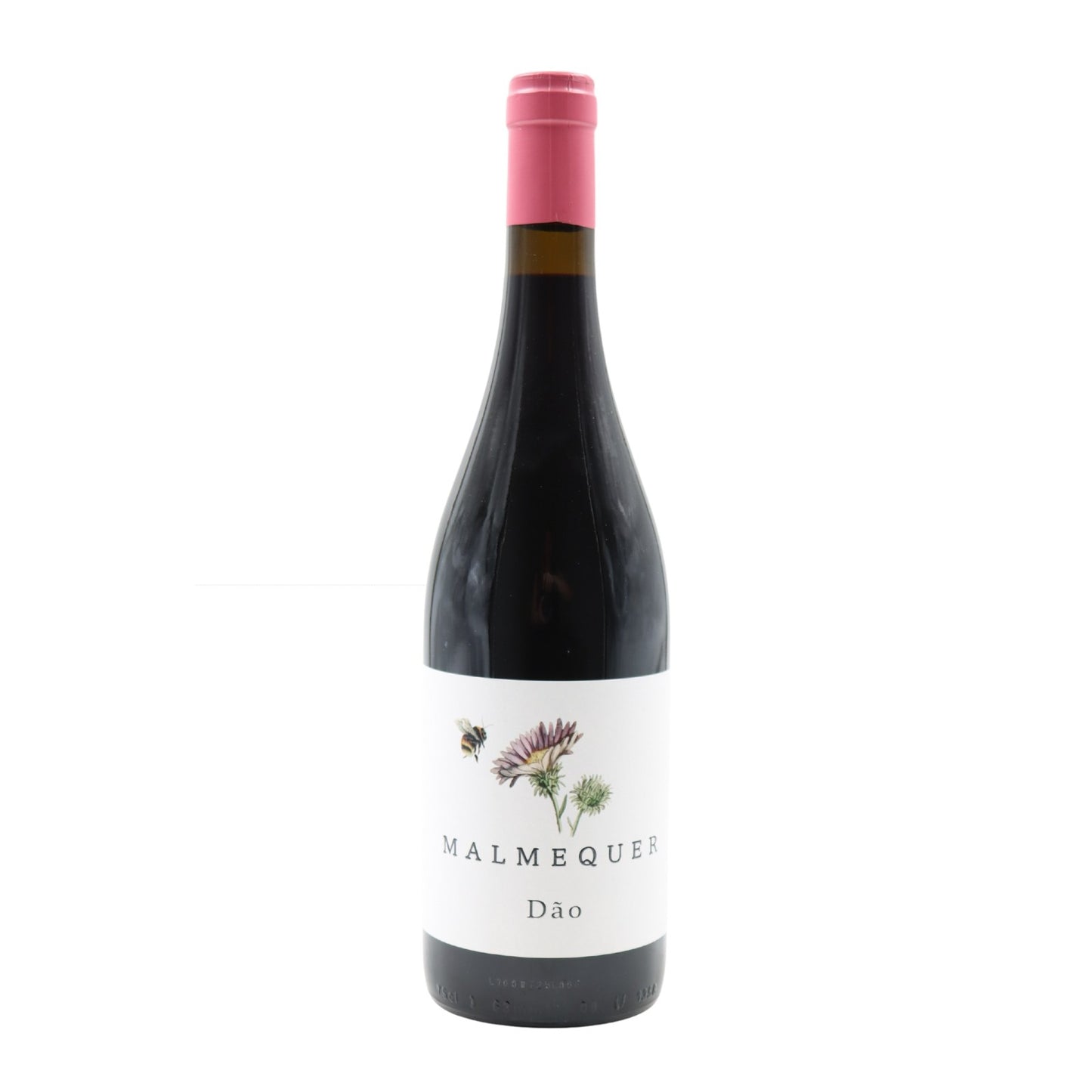 Malmequer Tinto