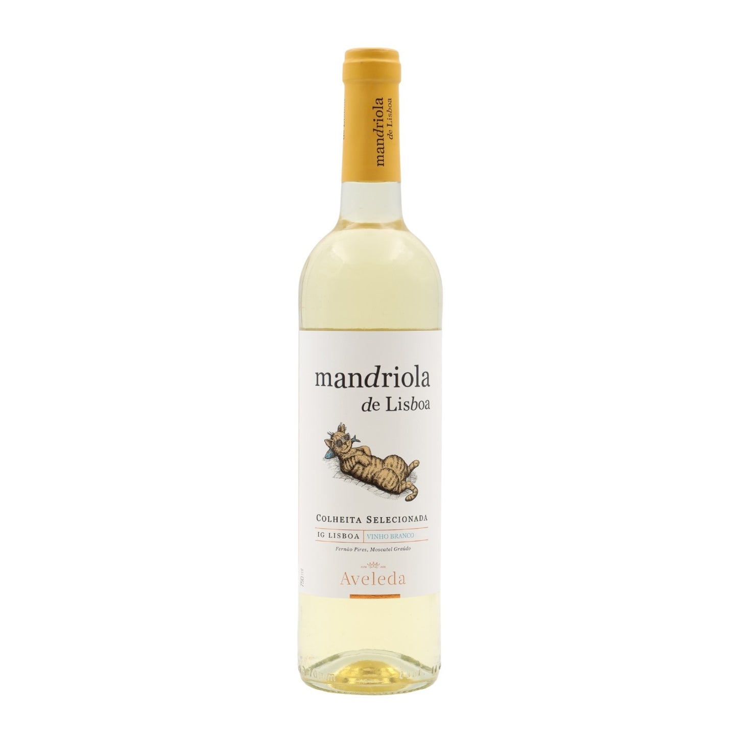 Mandriola de Lisboa Branco