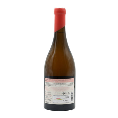 Monte Branco CA White 2019