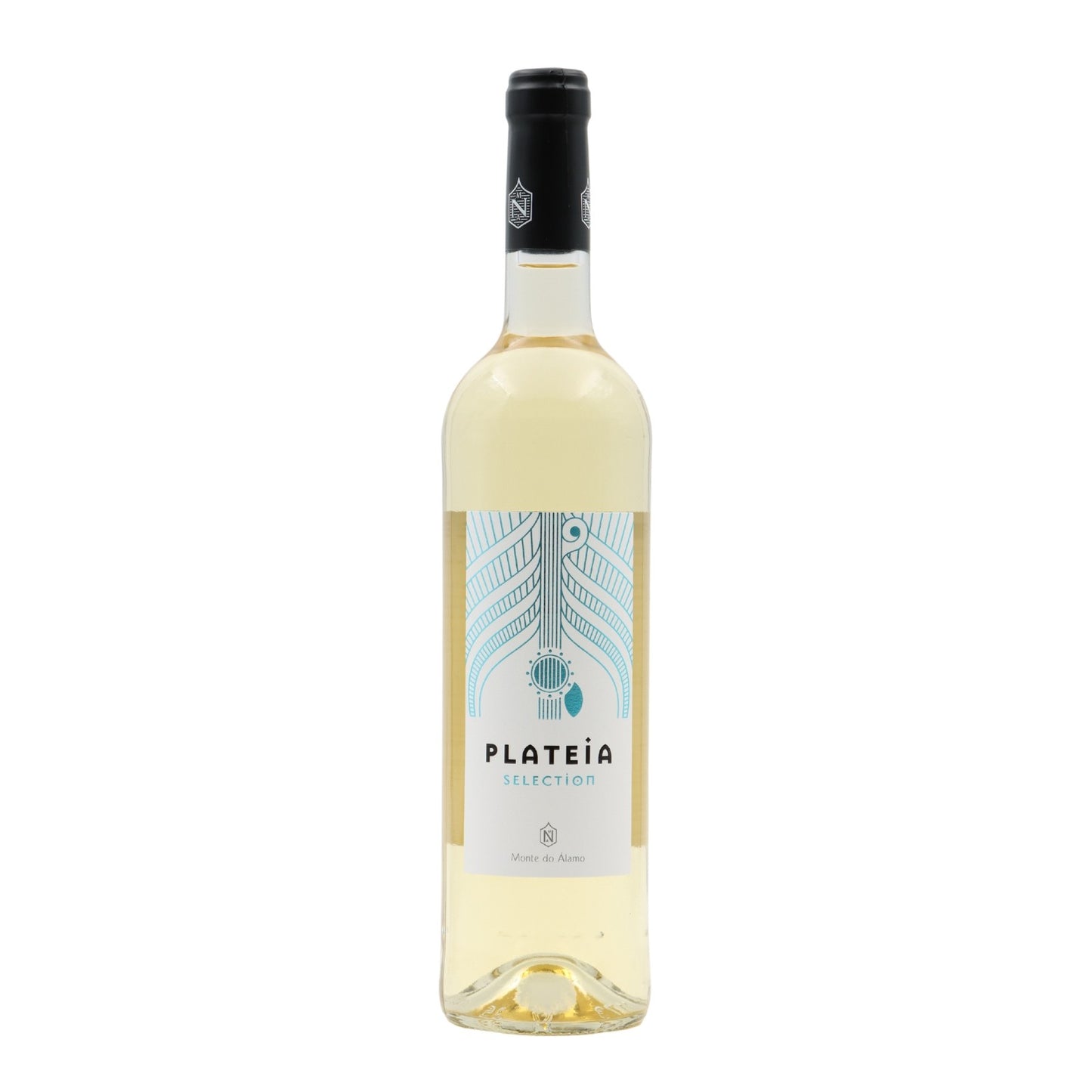 Alamo Mountain White Plateia 2022