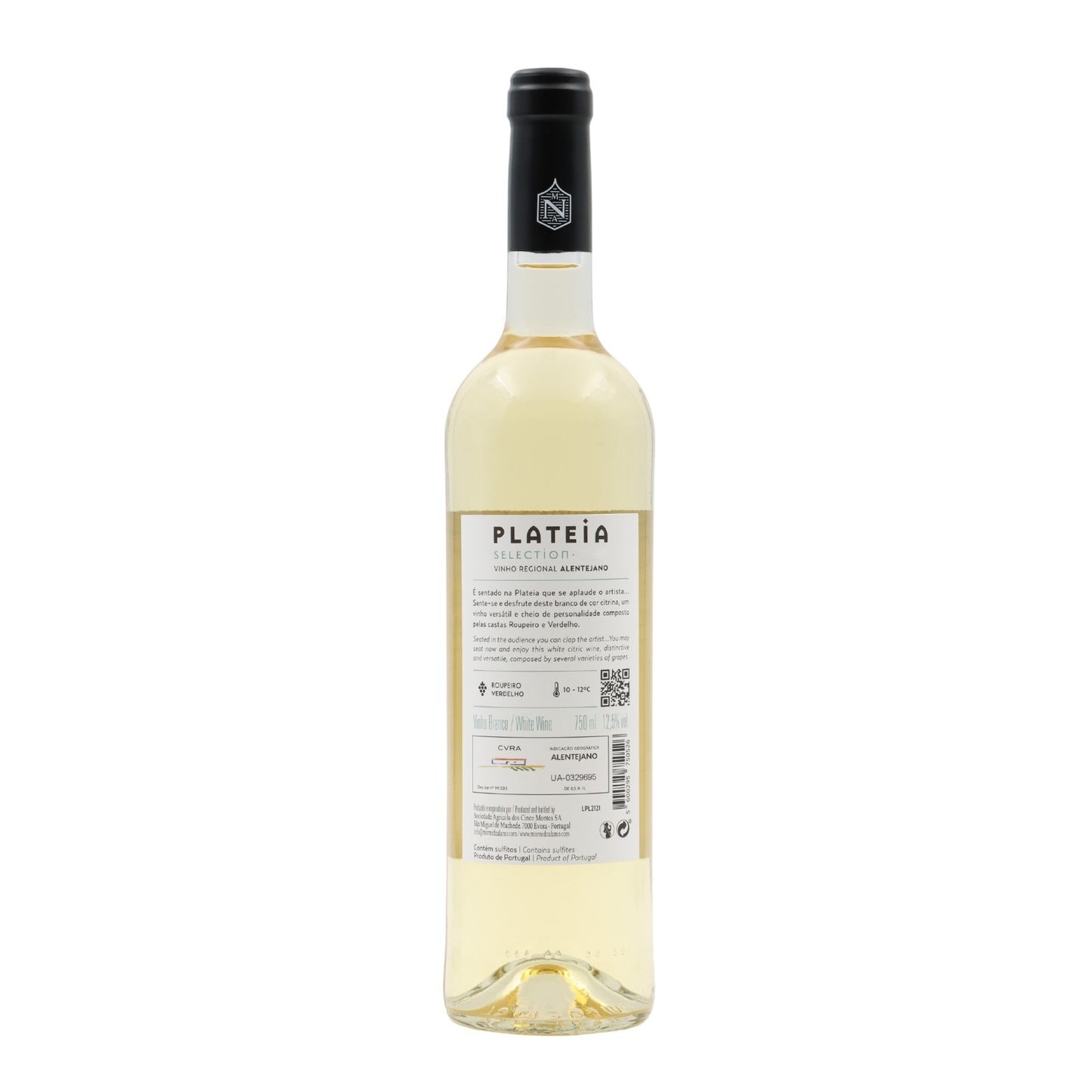 Alamo Mountain White Plateia 2022