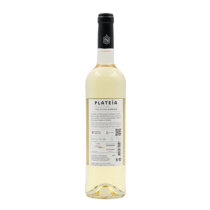 Alamo Mountain White Plateia 2022