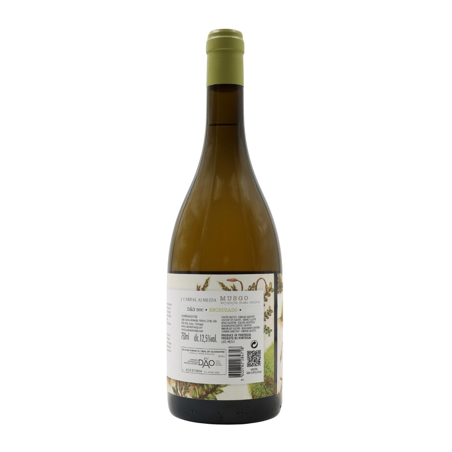 Musgo Encruzado Branco