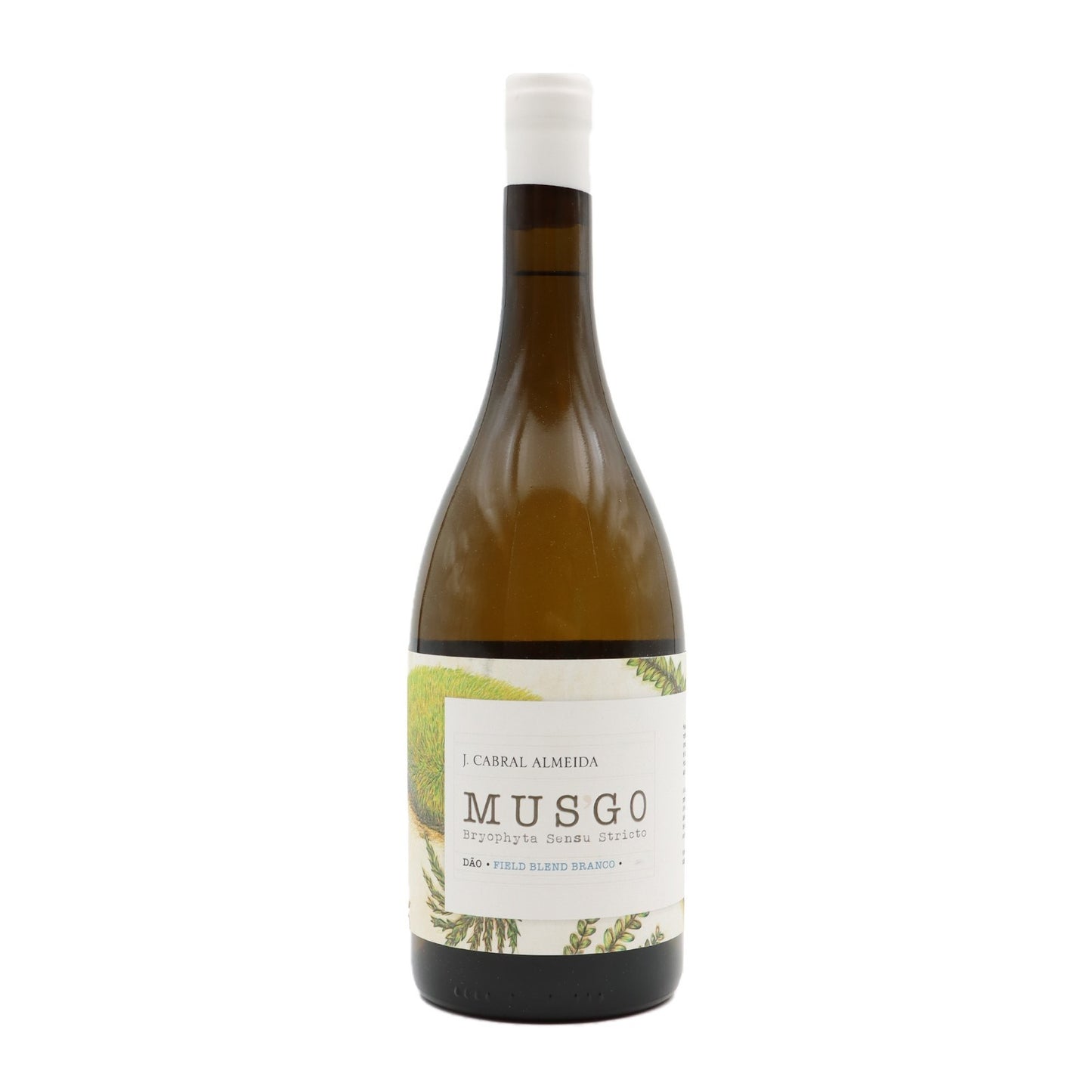 Musgo Field Blend White 2020