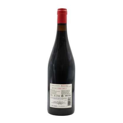Musgo Tinto