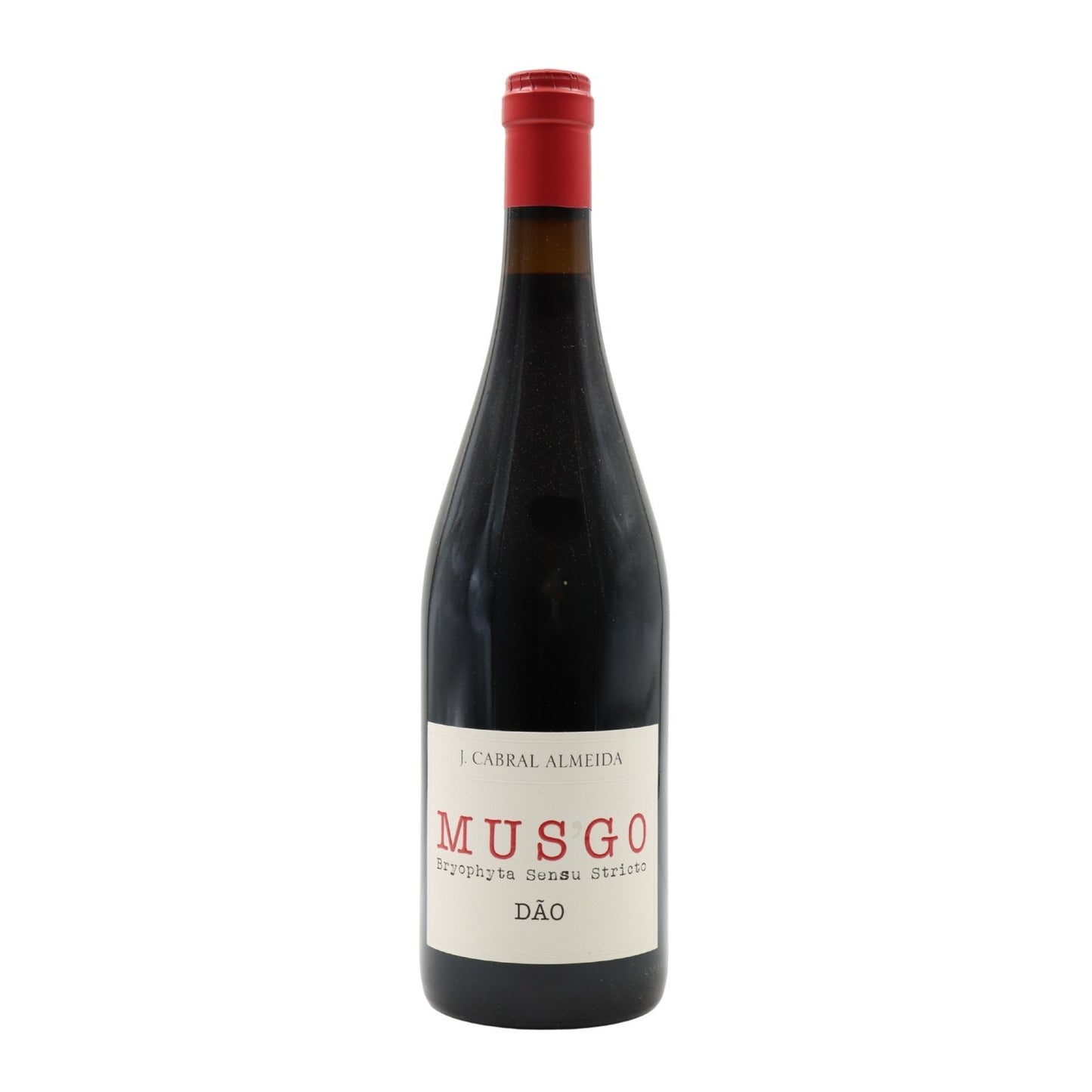 Musgo Tinto