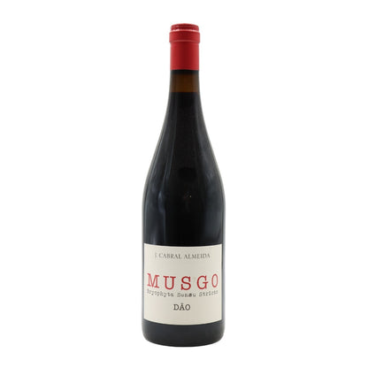 Musgo Tinto