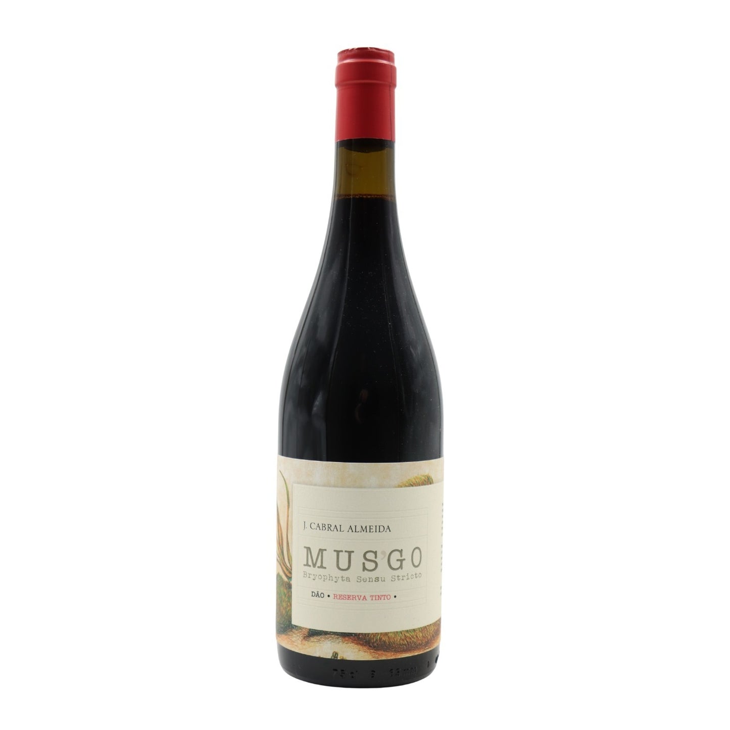 Musgo Reserva Tinto 2019