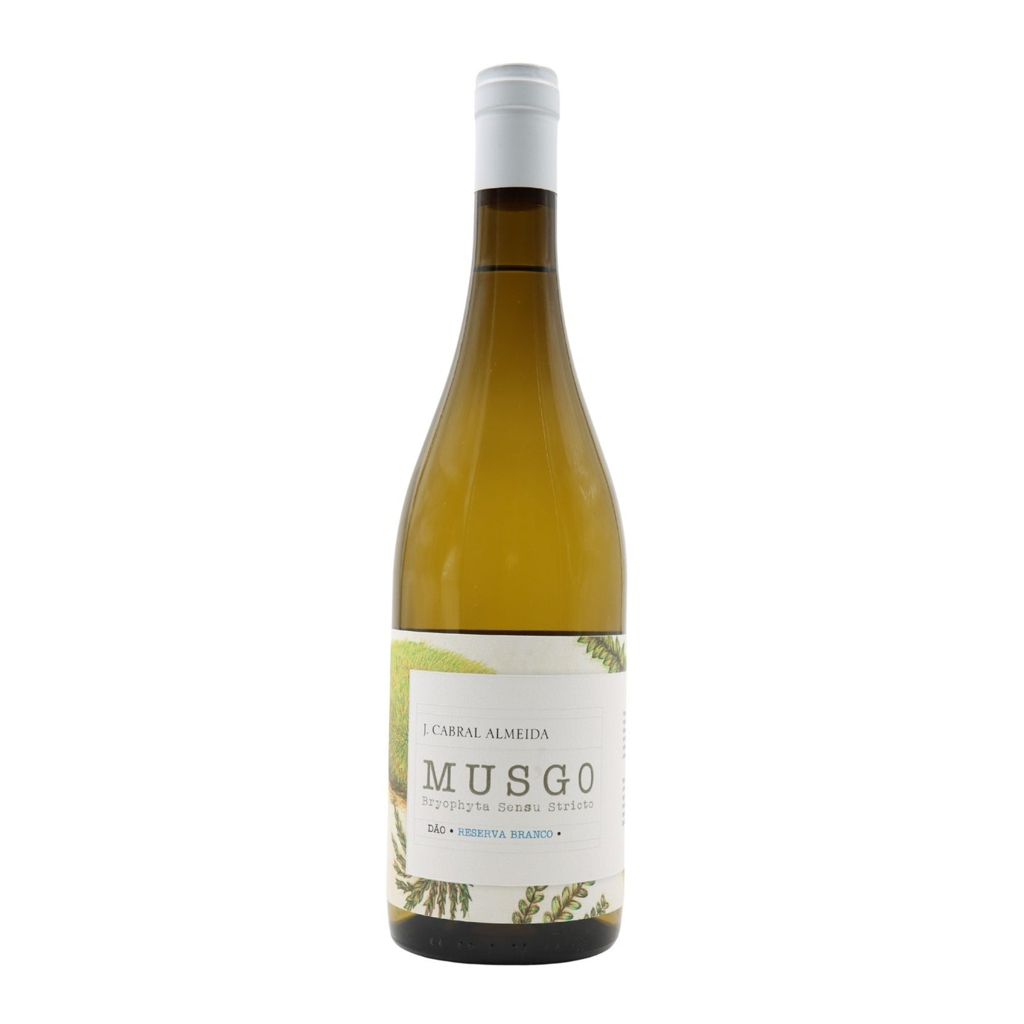 Musgo Reserva Branco