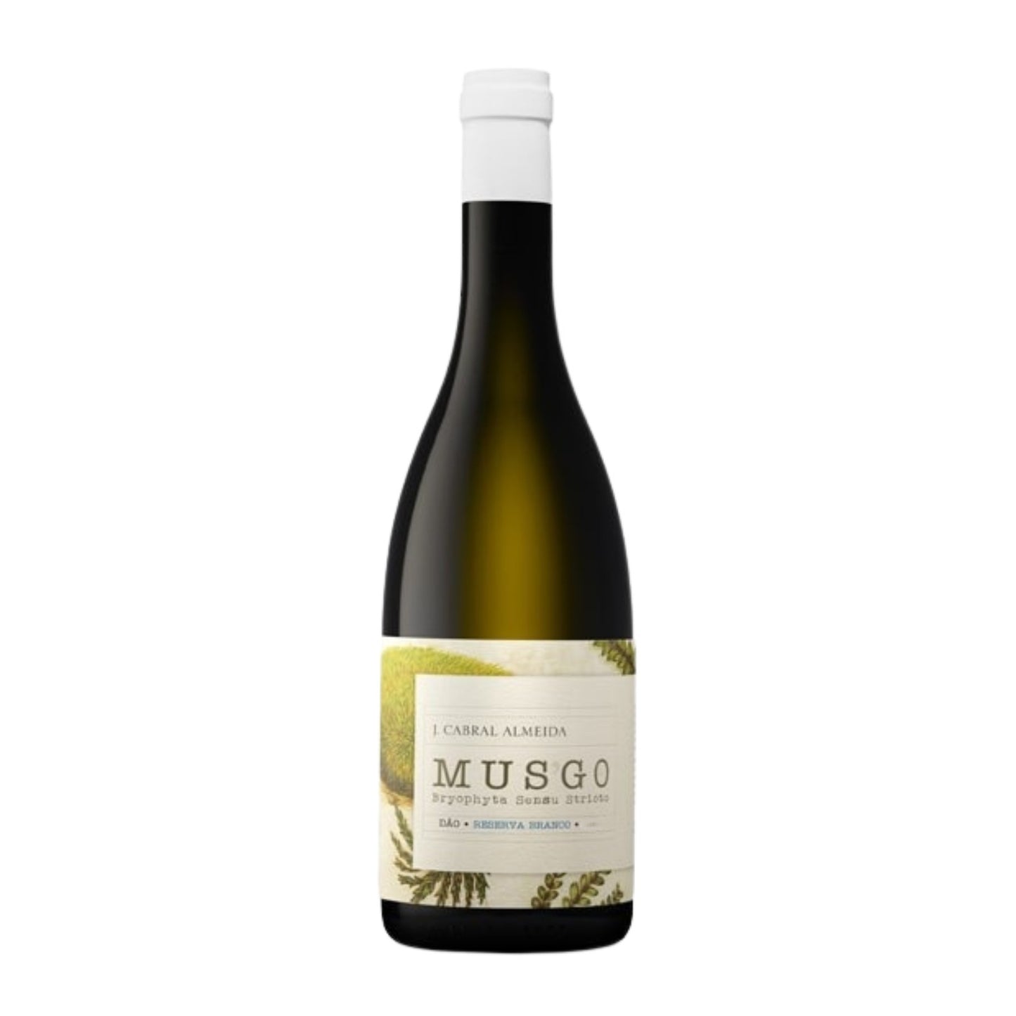 Musgo Reserva Branco