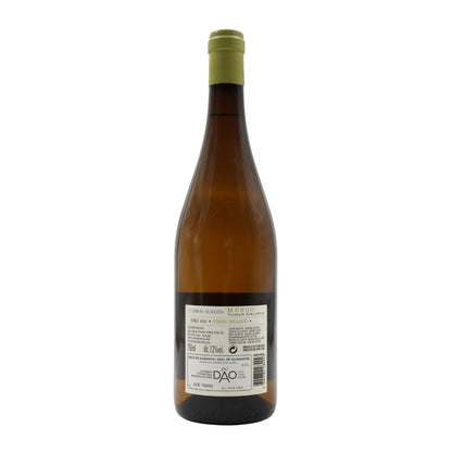 Musgo Branco