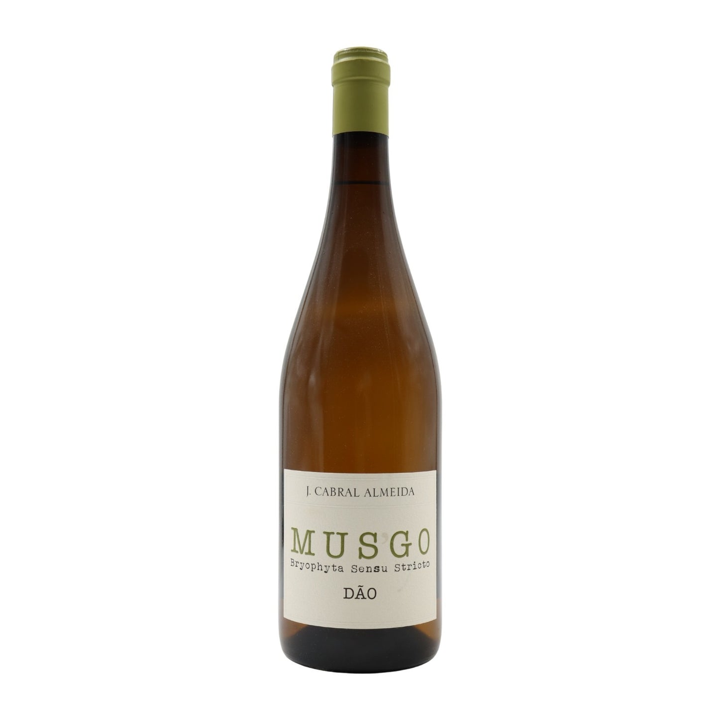 Musgo Branco