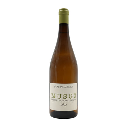 Musgo Branco