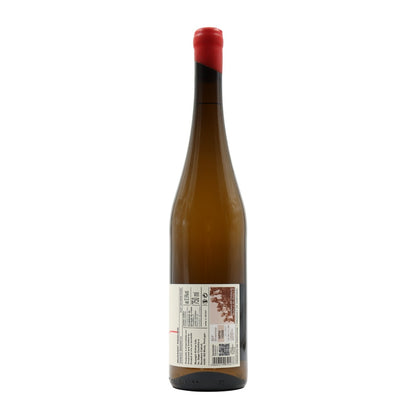 Muxagat Riesling Branco