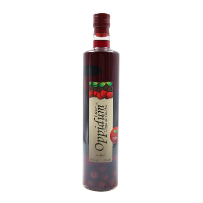 Oppidum Ginja with fruit 700ml