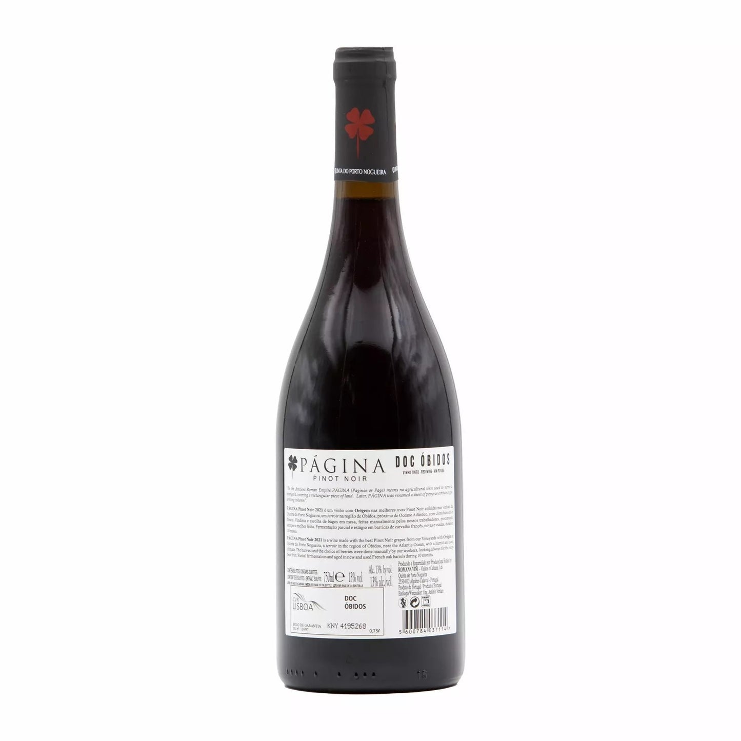 Página Pinot Noir Tinto