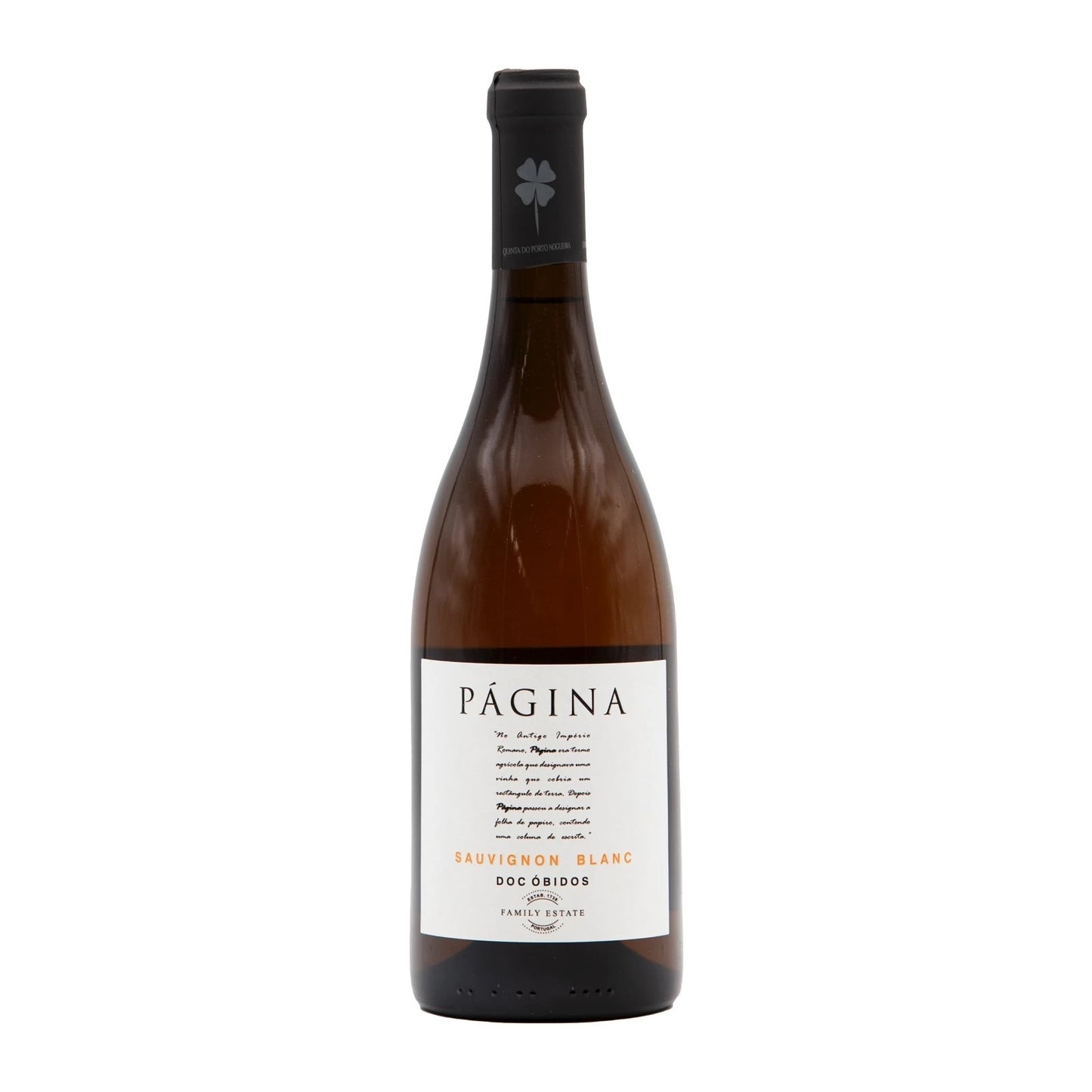 Página Sauvignon Blanc Branco 2020