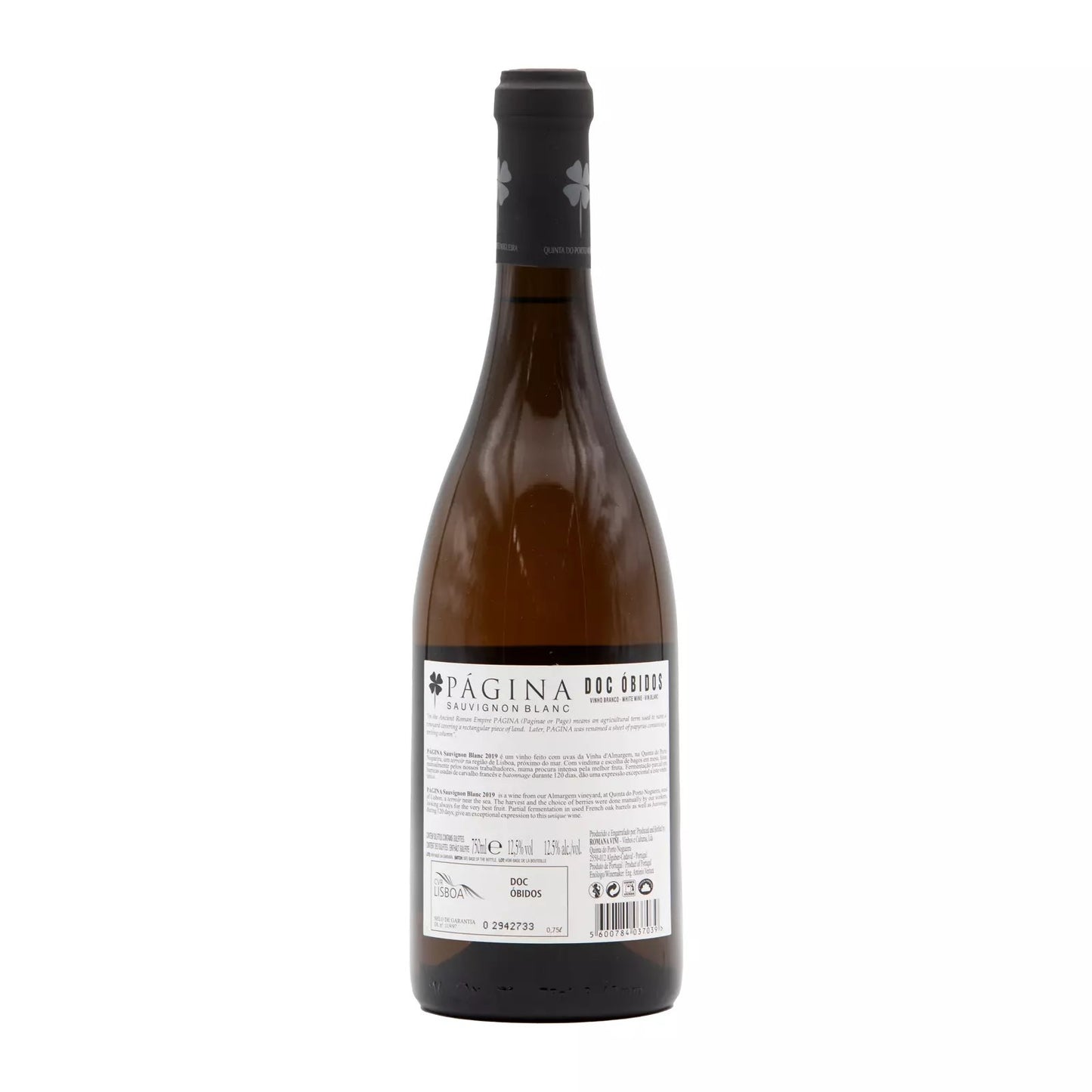 Página Sauvignon Blanc Branco