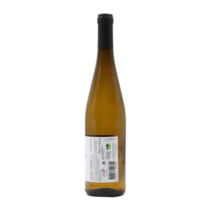 Pequenos Rebentos Lote 3 Branco