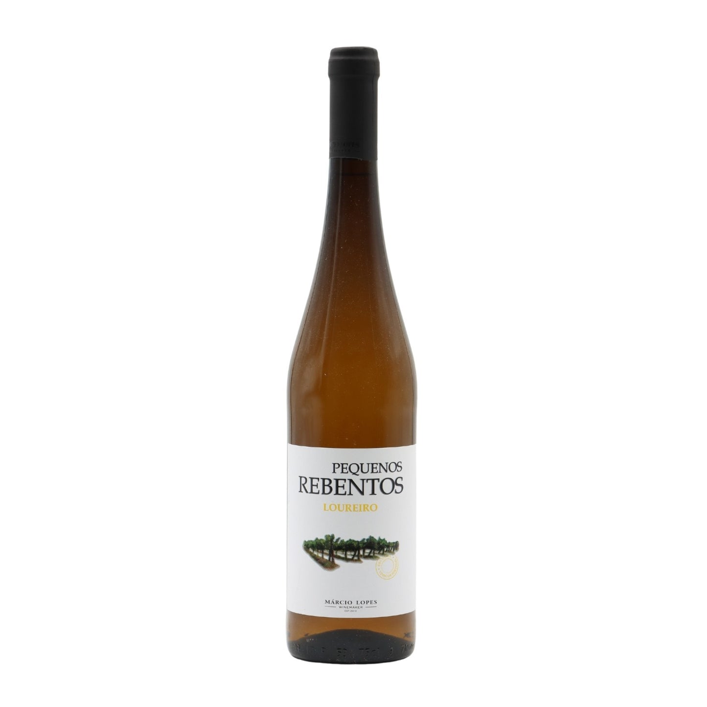 Pequenos Rebentos Loureiro Branco