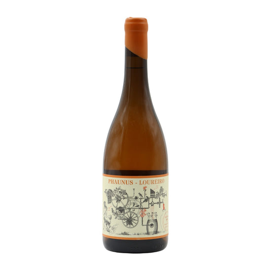 Phaunus Amphora White Laurel 2022